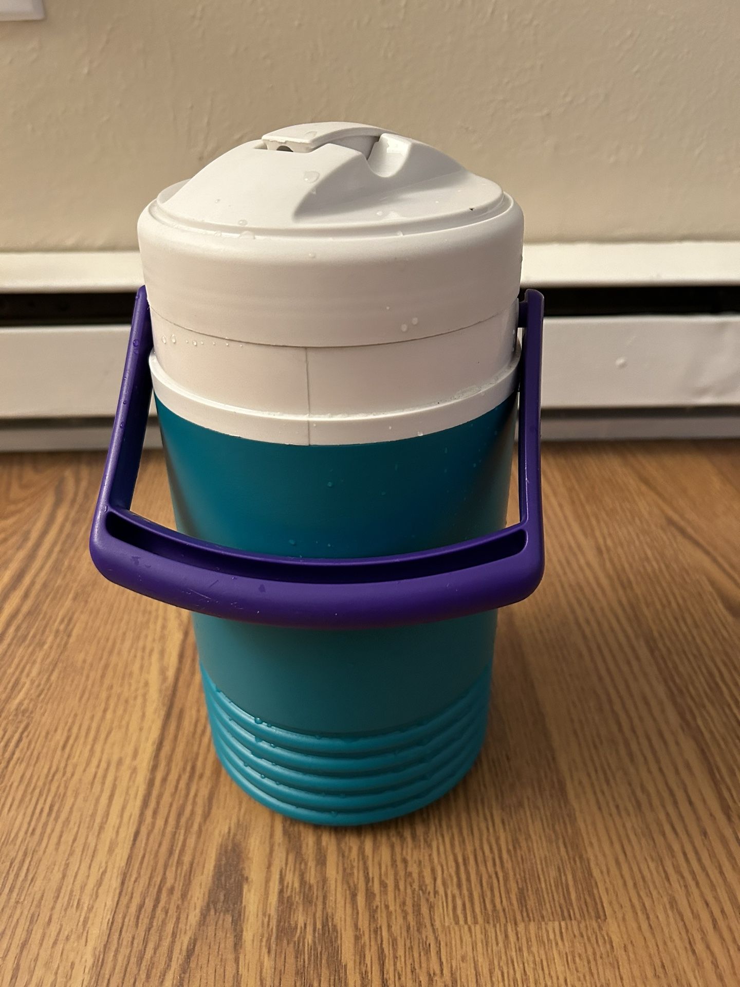 Igloo Water Jug