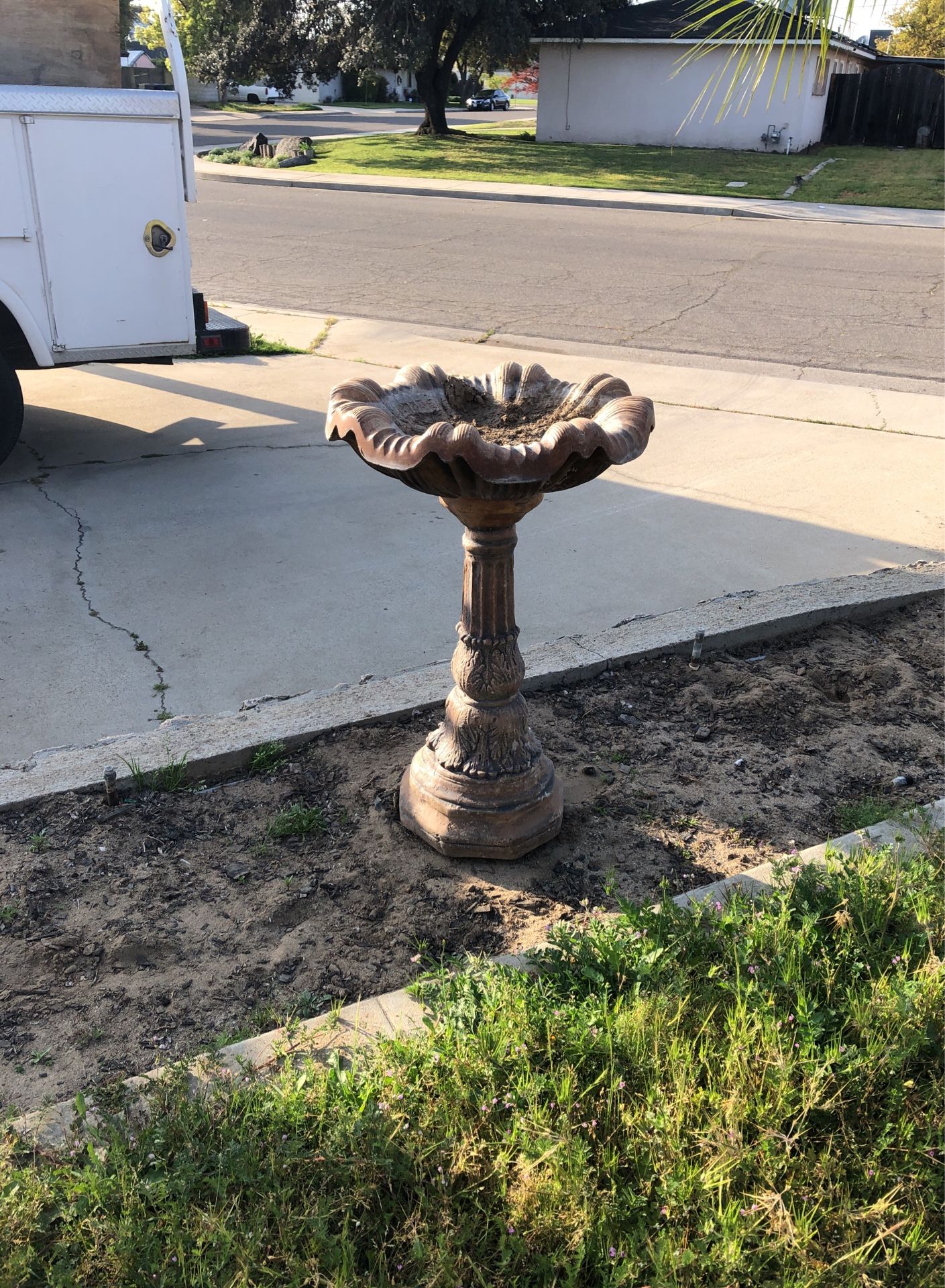 Bird Bath