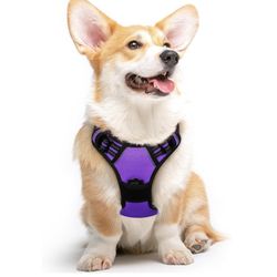 Medium Sized Dog Harness In purple 