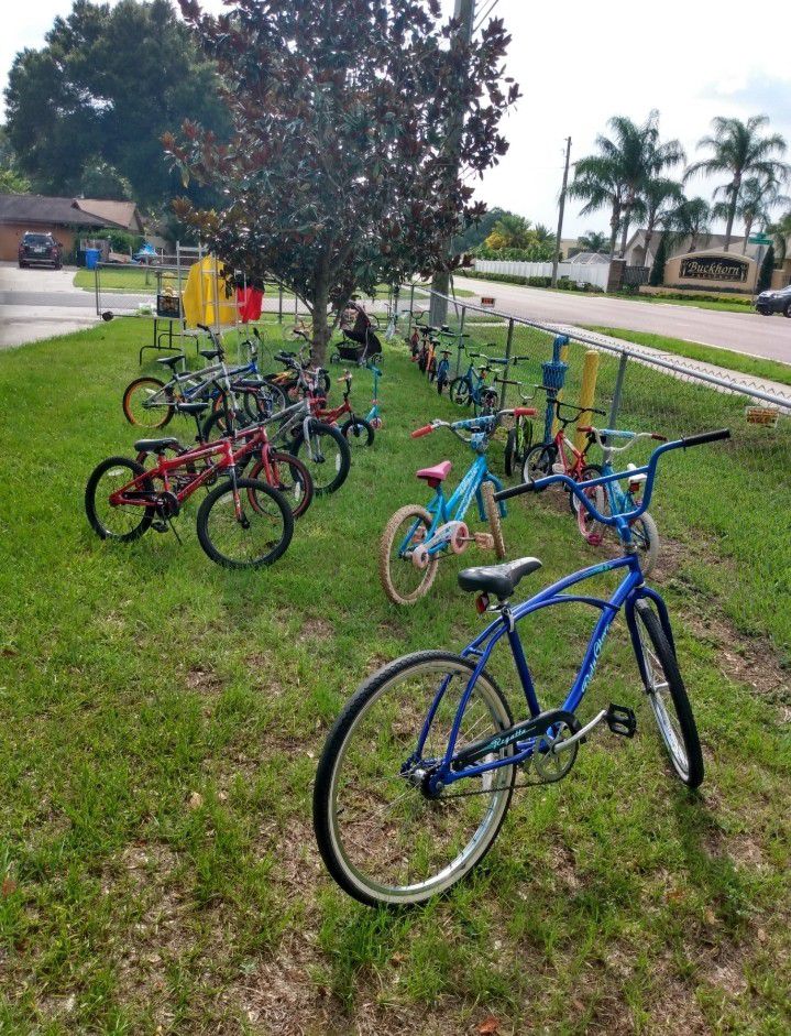 24 bikes left different $