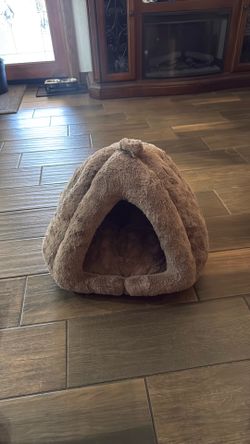 Free bed for small dogs