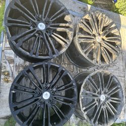 Set Of 4 Wheels For Masaeati 20” 