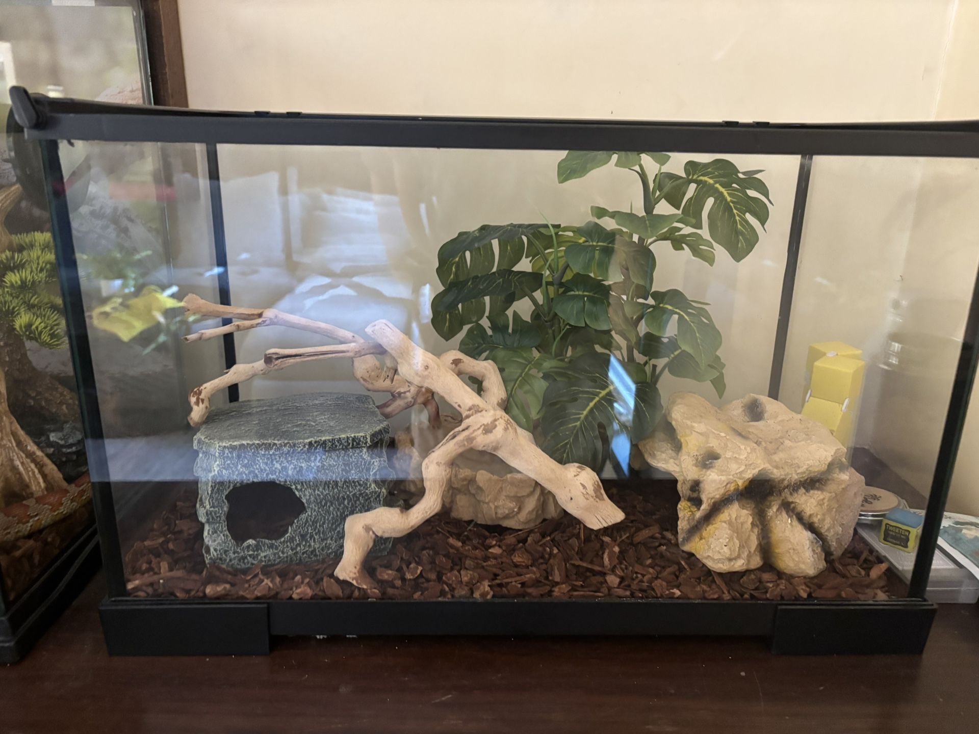 Reptile Tank with Everything Included