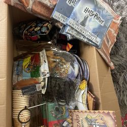 Harry Potter Birthday Party Supplies 