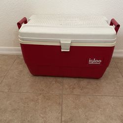Medium Large Igloo Cooler