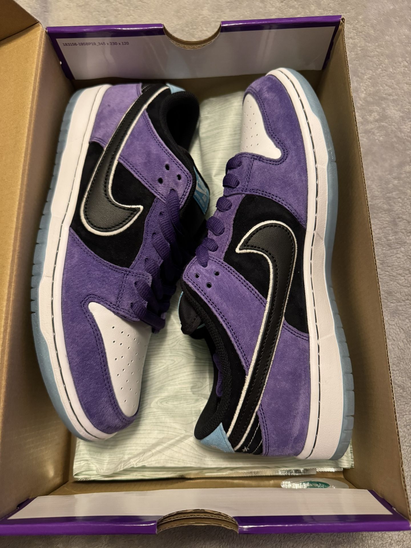 Nike Sb Dunk Hayley Wilson