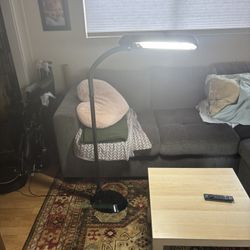 Large Bright Gooseneck Lamp