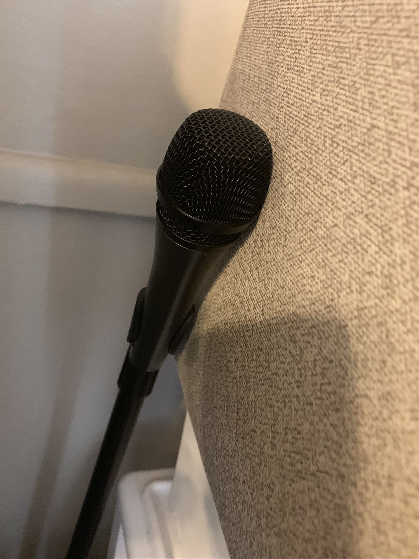 Mic and stand