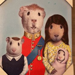Frame Pets Rock $5