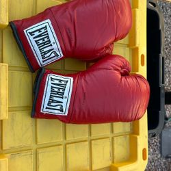 Boxing Gloves