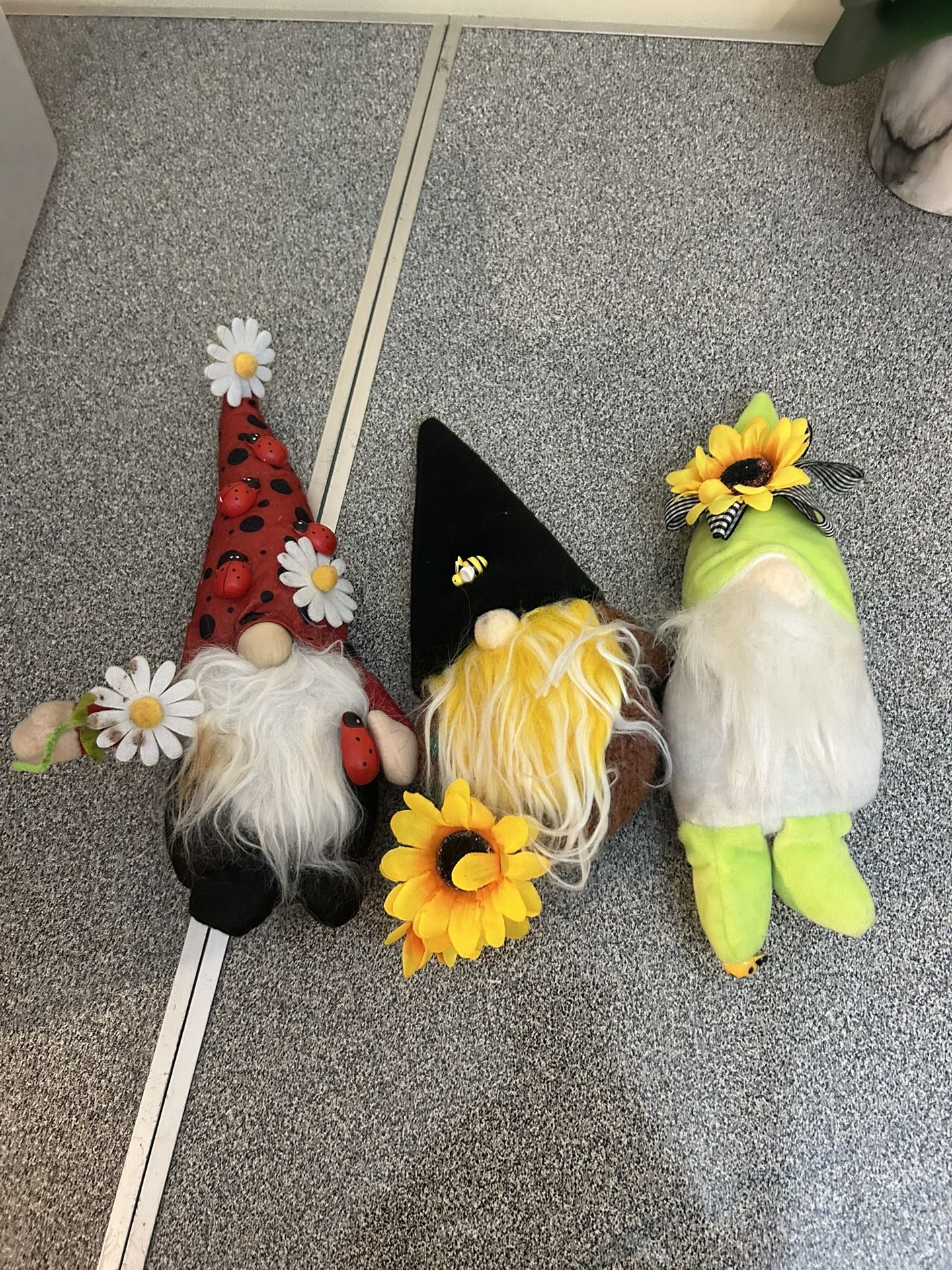 3 Gnomes