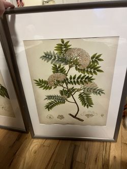 Two Floral Framed Wall Art