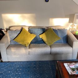 2 Identical Couches With Pillows