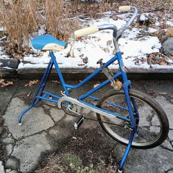 RARE Vintage Mid-Century Fleetwing Stationary Bike / Exercise Bike - West German made - Works well!

