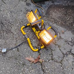 Dual Work Light