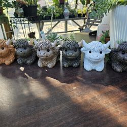 Highland Cow PLANTER