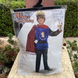 Boy Prince Charming Costume.