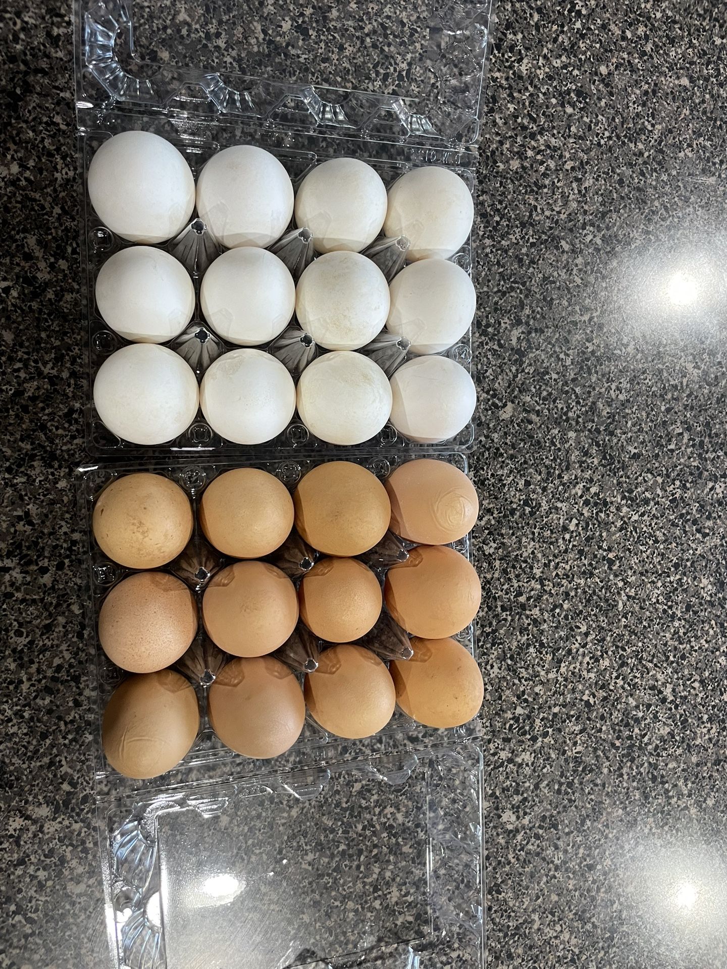 Fresh Chicken Eggs