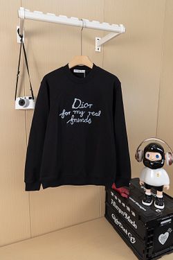 Dior CD Men’s Hoodie 2026 New