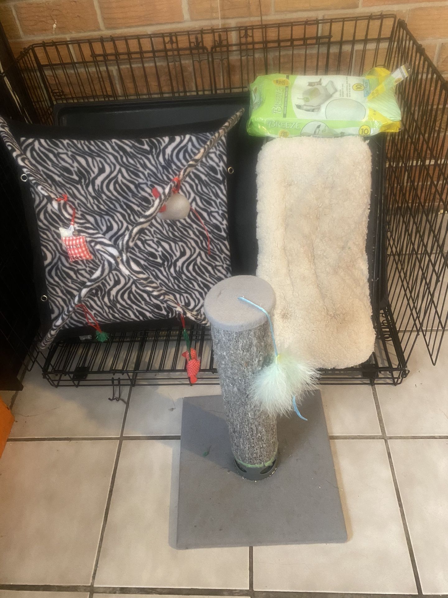 Cat cage and assessment