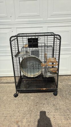 Big Giant Birdcage