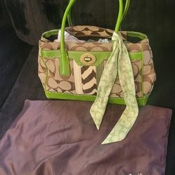 COACH MADELINE  ZEBRA STRIPE TOTE BAG PURSE SATCHEL W/ GREEN C SCARF Y2K Rare