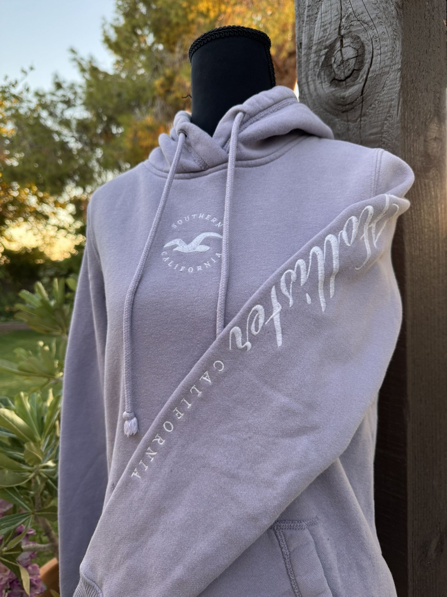 Hollister Hoodie