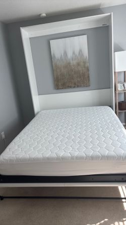 Queen Murphy bed