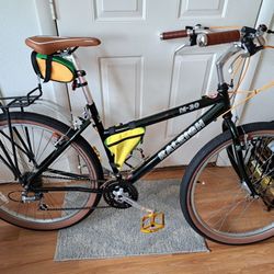 Raleigh M-30 Vintage Resto-Mod