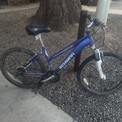 use Schwinn Ranger Bike