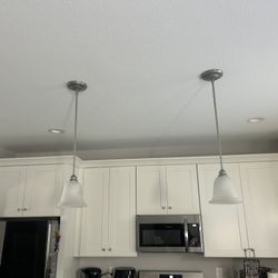 Came From The Brandnew House