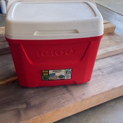 Igloo Cooler $20