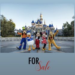 CHILDS DISNEYLAND TICKET