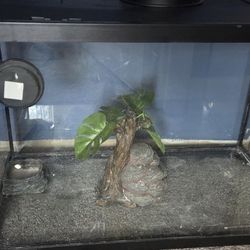 Reptile Tank