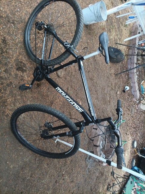 Mongoose excursion 29"