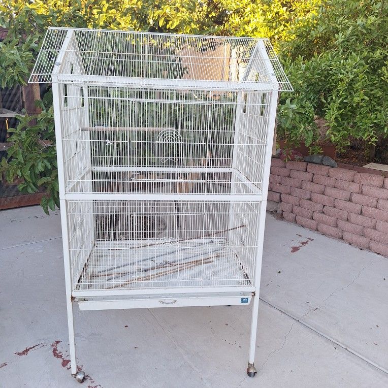 Bird Cage