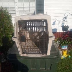 Dog Carrier