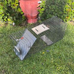 Cage