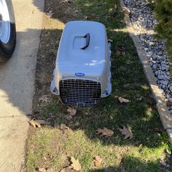 Caja Para Animal 🦔 