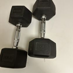 20 Lbs Weights Set