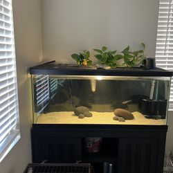 75 GALLON FISH TANK AND STAND $300