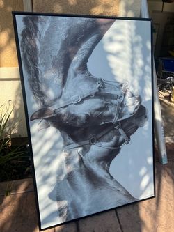 Living Spaces Horses wall canvas