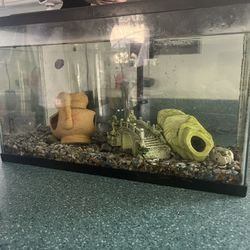 Fish Tank Aquarium 