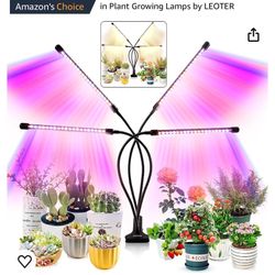 Indoor Plant Grow Light