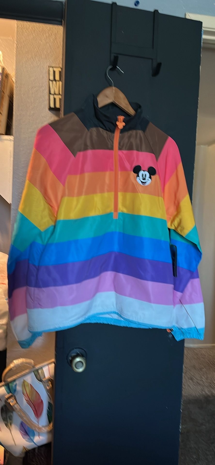 Disney Pride Windbreaker
