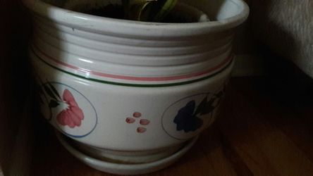 Indoor plant pot