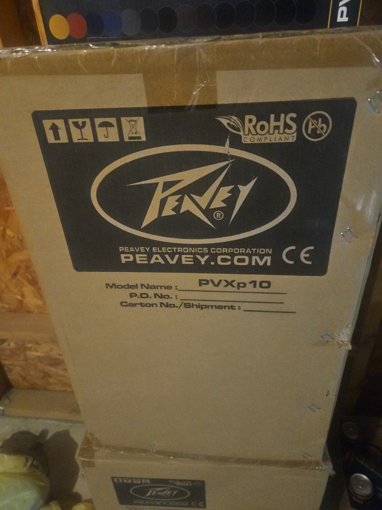 The Peavey PVXp 10