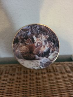 porcelain collectors plate