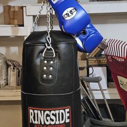 Professional Punching Bag And Gloves