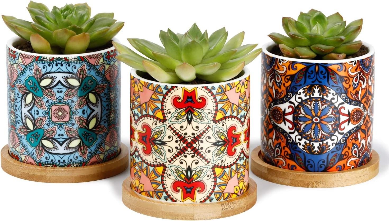 Greenaholics Succulent Pots - 3 Inch Ceramic Plant Pots with Bamboo Trays, Great House and Office Decor, Set of 3, Multi-Color